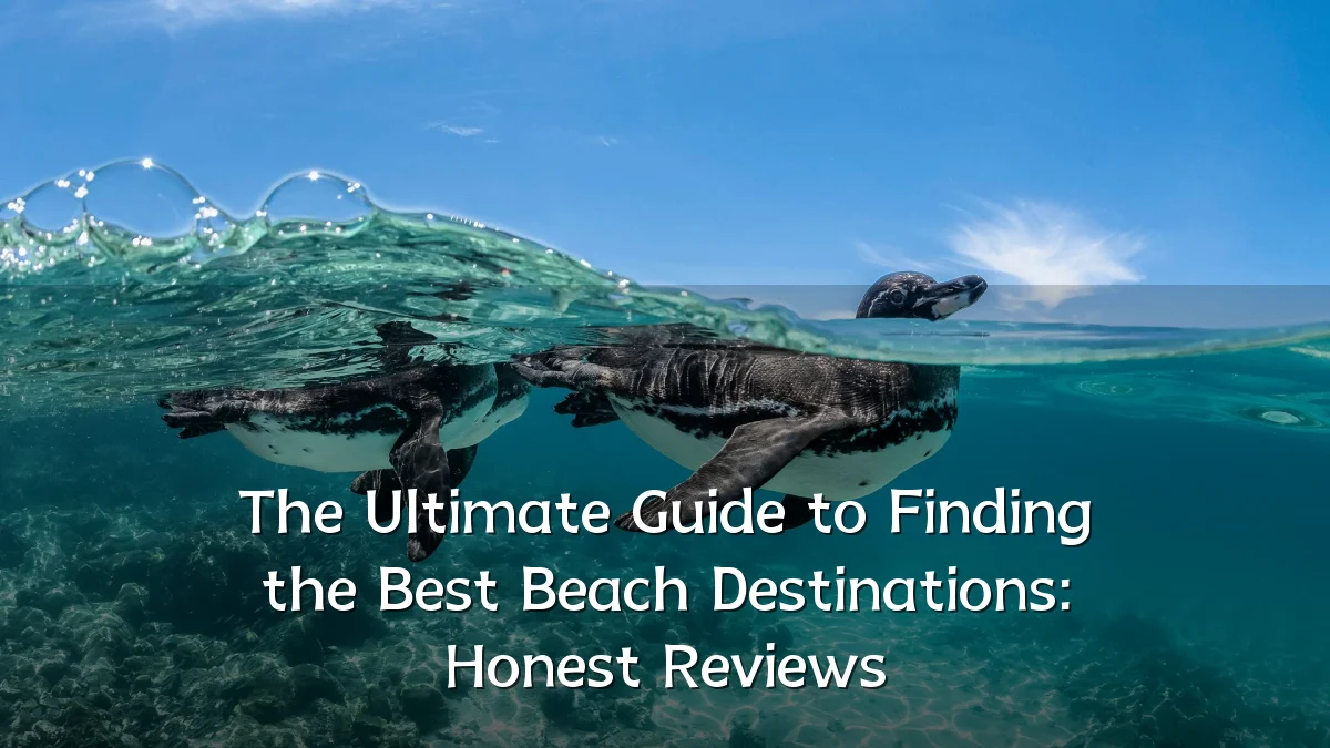The Ultimate Guide to Finding the Best Beach Destinations: Honest Reviews