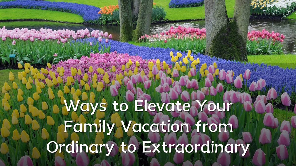 Ways to Elevate Your Family Vacation from Ordinary to Extraordinary