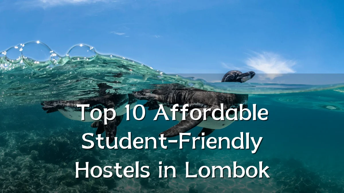 Top 10 Affordable Student-Friendly Hostels in Lombok