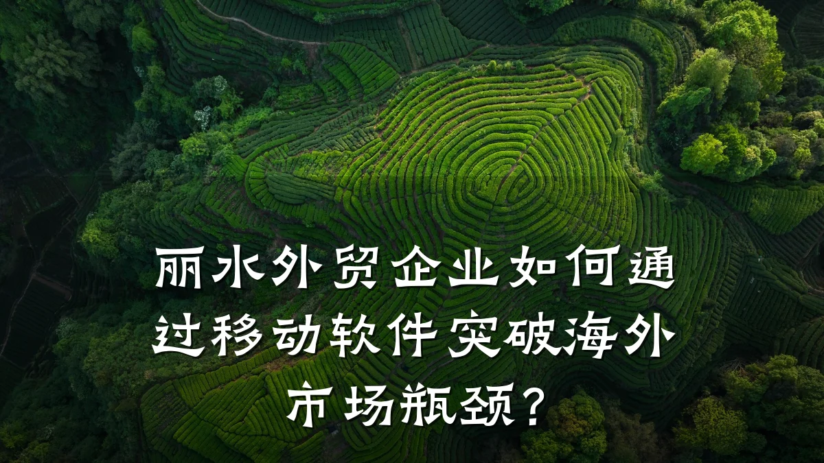 丽水外贸企业如何通过移动软件突破海外市场瓶颈?