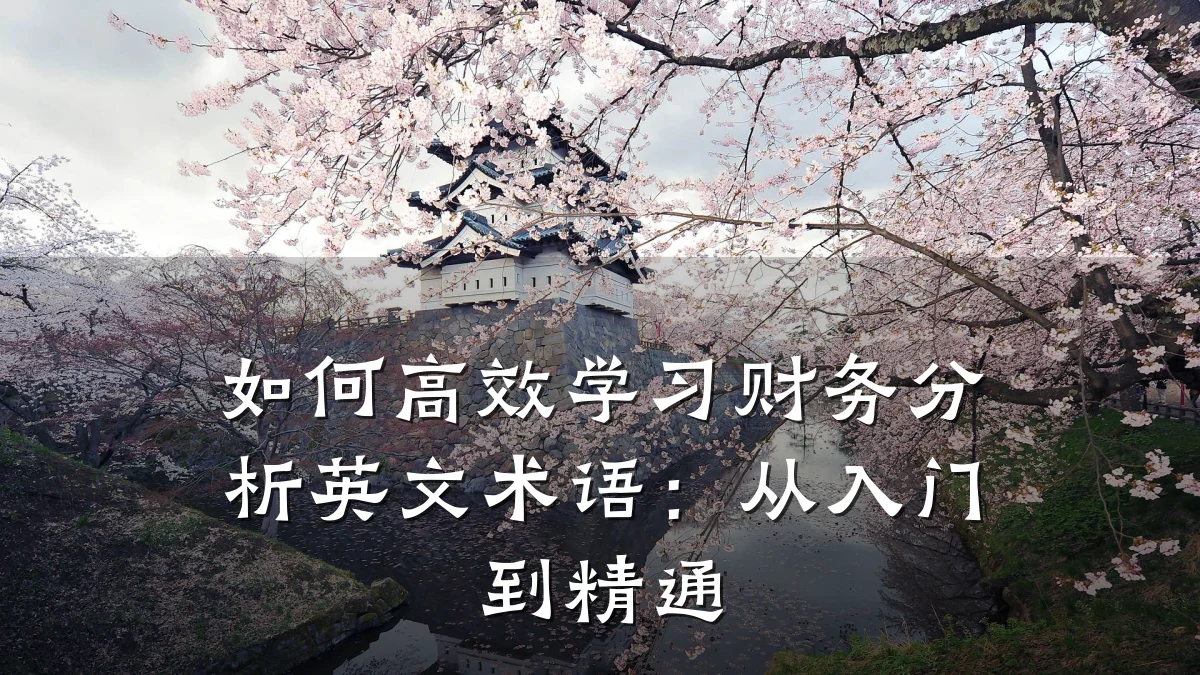 如何高效学习财务分析英文术语：从入门到精通