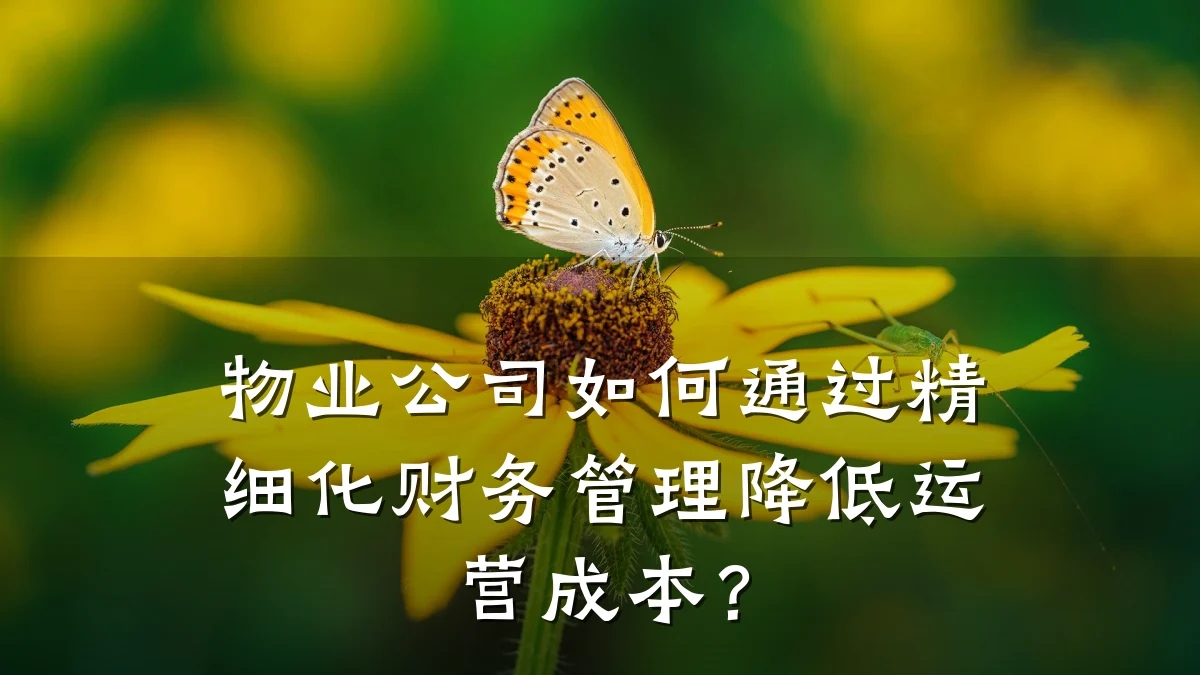 物业公司如何通过精细化财务管理降低运营成本？