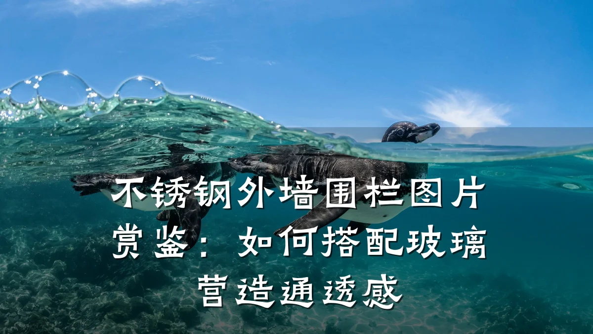 不锈钢外墙围栏图片赏鉴:如何搭配玻璃营造通透感