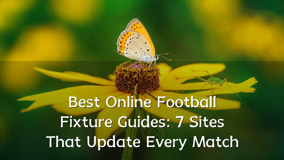 Best Online Football Fixture Guides: 7 Sites That Update Every Match