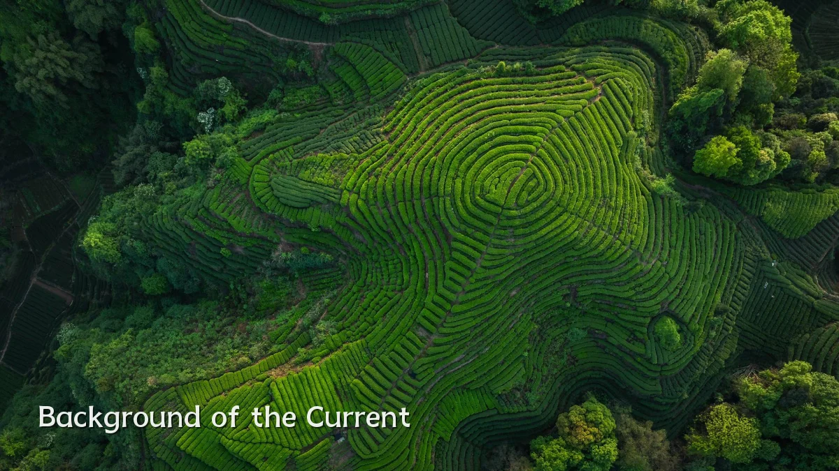 Background of the Current
