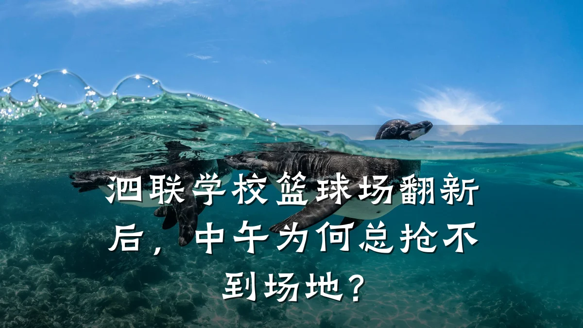 泗联学校篮球场翻新后，中午为何总抢不到场地？